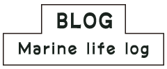blog Marine life log